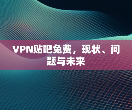 VPN贴吧免费，现状、问题与未来
