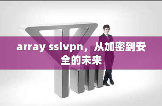 array sslvpn，从加密到安全的未来