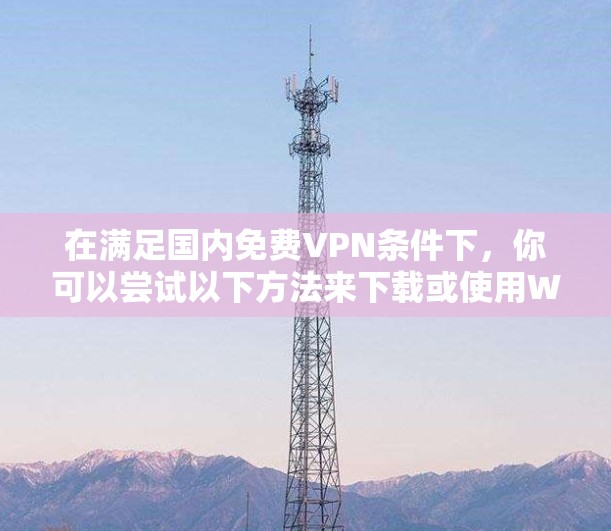 在满足国内免费VPN条件下，你可以尝试以下方法来下载或使用Wildcard:飙车8