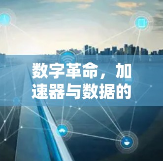 数字革命，加速器与数据的无限可能