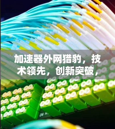 加速器外网猎豹,技术领先,创新突破,无限可能 加速器外网猎豹,技术领先,创新突破,无限可能