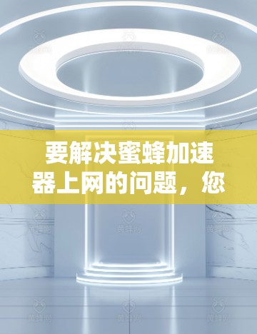 要解决蜜蜂加速器上网的问题，您可以按照以下步骤进行