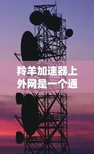 羚羊加速器上外网是一个通过互联网连接到羚羊加速器服务的云加速平台,用户可以通过该平台上传自己的加速器,提升车辆的性能。以下是关于该系统的详细信息 羚羊加速器上外网是一个通过互联网连接到羚羊加速器服务的云加速平台,用户可以通过该平台上传自己的加速器,提升车辆的性能。以下是关于该系统的详细信息