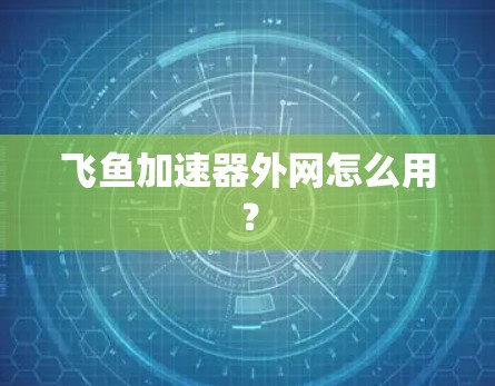 飞鱼加速器外网怎么用? 飞鱼加速器外网怎么用?