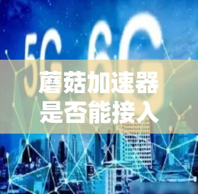 蘑菇加速器是否能接入上外网,取决于多个因素 蘑菇加速器是否能接入上外网,取决于多个因素