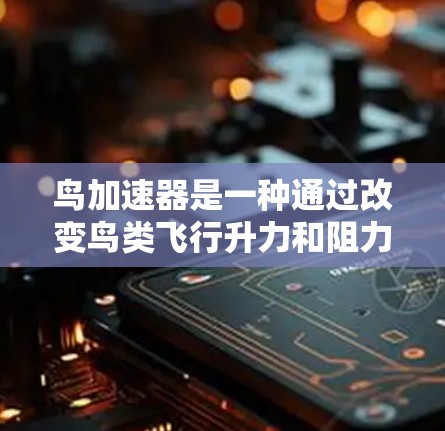 鸟加速器是一种通过改变鸟类飞行升力和阻力的装置，旨在提升飞行速度和效率。以下是对鸟加速器的详细介绍