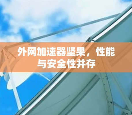 外网加速器坚果，性能与安全性并存