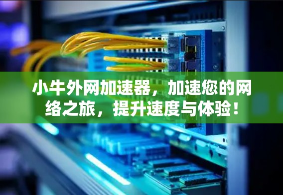 小牛外网加速器，加速您的网络之旅，提升速度与体验！