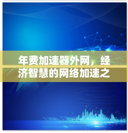 年费加速器外网，经济智慧的网络加速之道