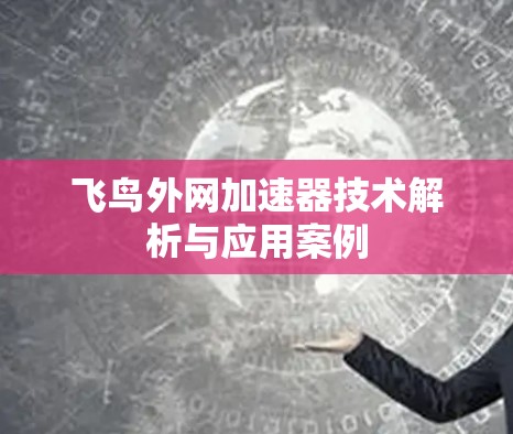 飞鸟外网加速器技术解析与应用案例