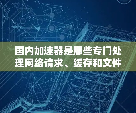 国内加速器是那些专门处理网络请求、缓存和文件传输的网站，通常提供高效、安全的访问体验。以下是一些常见的国内加速器推荐
