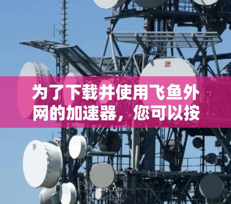 为了下载并使用飞鱼外网的加速器，您可以按照以下步骤操作