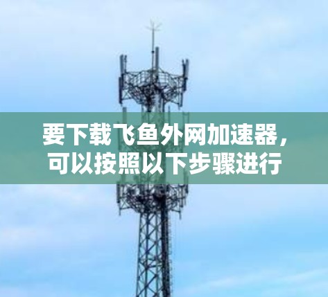 要下载飞鱼外网加速器，可以按照以下步骤进行