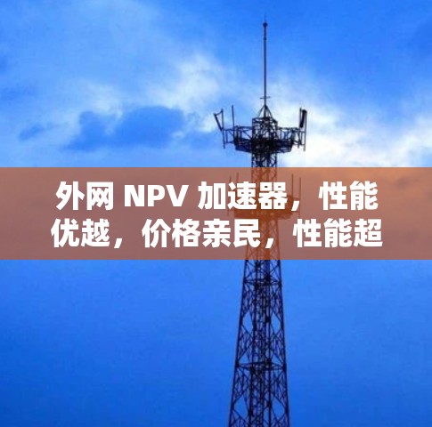 外网 NPV 加速器，性能优越，价格亲民，性能超群！