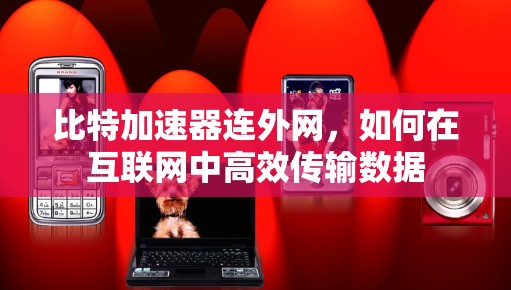 比特加速器连外网，如何在互联网中高效传输数据
