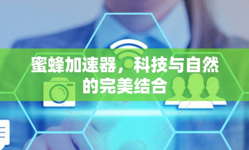 蜜蜂加速器，科技与自然的完美结合