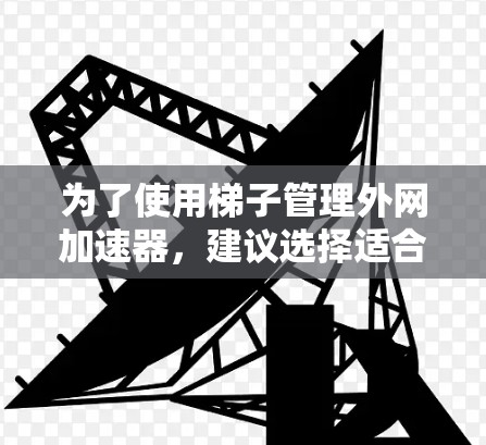 为了使用梯子管理外网加速器,建议选择适合梯子功能的加速工具。以下是具体的步骤建议 为了使用梯子管理外网加速器,建议选择适合梯子功能的加速工具。以下是具体的步骤建议