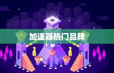 加速器热门品牌