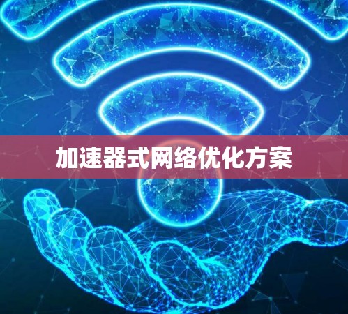 加速器式网络优化方案