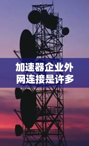 加速器企业外网连接是许多企业为了快速访问国外业务而使用的工具。以下是一些常见的加速器类型和使用方法，帮助您找到最适合您的解决方案