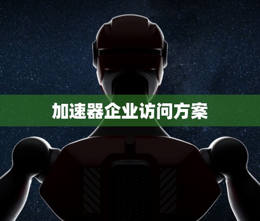 加速器企业访问方案