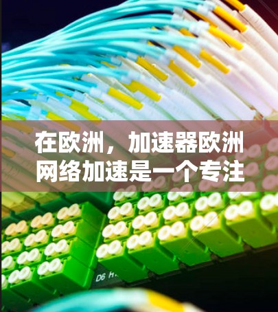 在欧洲，加速器欧洲网络加速是一个专注于提升网络下载速度的工具，尤其适用于个人用户和企业用户。以下是对该领域的详细介绍