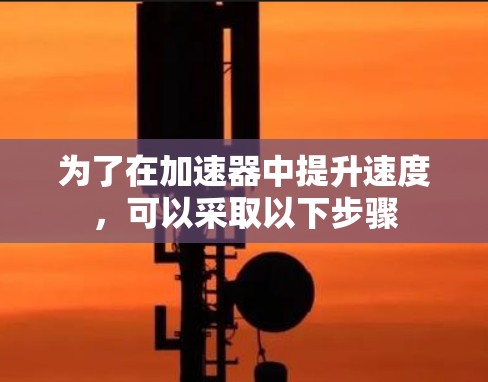 为了在加速器中提升速度，可以采取以下步骤