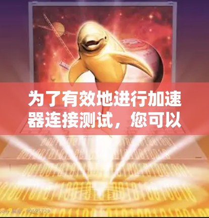 为了有效地进行加速器连接测试，您可以按照以下步骤进行