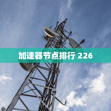 加速器节点排行 226