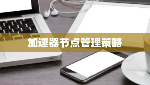加速器节点管理策略