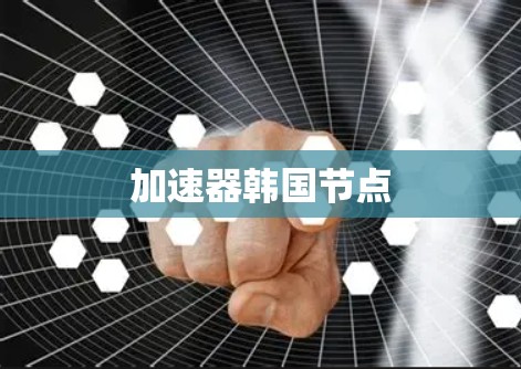 加速器韩国节点 加速器韩国节点
