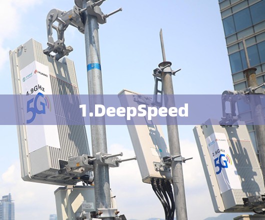 1.DeepSpeed
