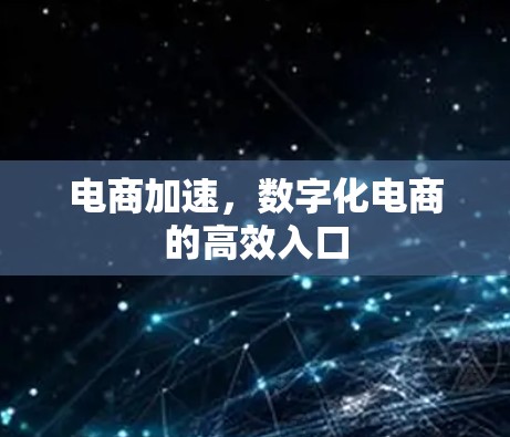 电商加速，数字化电商的高效入口