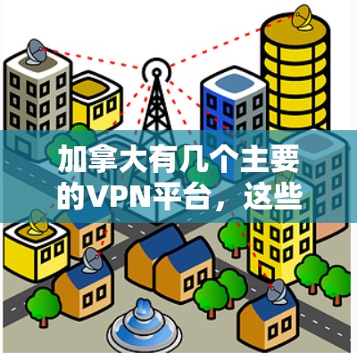 加拿大有几个主要的VPN平台，这些平台根据目标用户和设备类型有所不同。以下是一些常见的平台及其特点